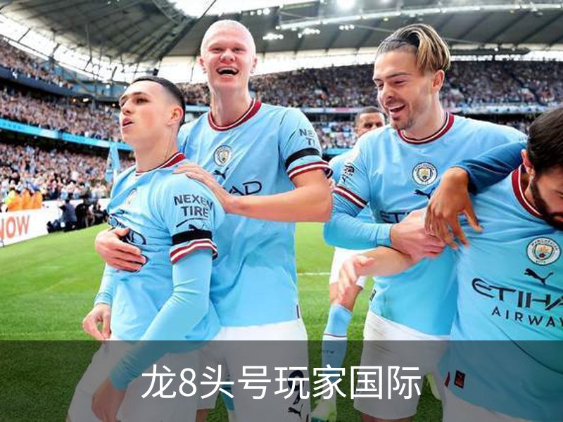 龙8头号玩家国际简介